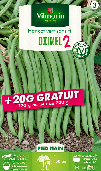 VILMORIN - Haricot nain vert sans fil Oxinel 2 200g +20g gratuit - large