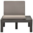 VIDAXL - vidaXL Chaise de salon de jardin avec coussin Plastique Anthracite - vignette