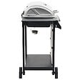 VIDAXL - vidaXL Barbecue au gaz avec 6 zones de cuisson Inox Argenté - vignette