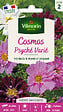 VILMORIN - Cosmos Psychée Vilmorin - vignette