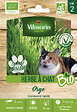 VILMORIN - Herbe à Chat BIO Vilmorin - vignette