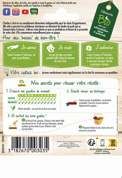 VILMORIN - Herbe à Chat BIO Vilmorin - large
