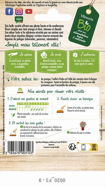 VILMORIN - Oeillet d'Inde Simple Orange BIO Vilmorin - large
