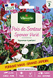 VILMORIN - Pois de Senteur Spencer Varié Vilmorin - vignette