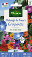 VILMORIN - Mélange de fleurs Fleurs Grimpantes 4m2 Vilmorin - vignette