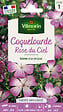 VILMORIN - Coquelourde Rose du Ciel Vilmorin - vignette