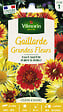 VILMORIN - Gaillarde Grandes Fleurs Vilmorin - vignette