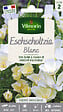 VILMORIN - Eschscholtzia Blanc Vilmorin - vignette