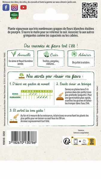 VILMORIN - Ipomée Géante Blanche Vilmorin - large