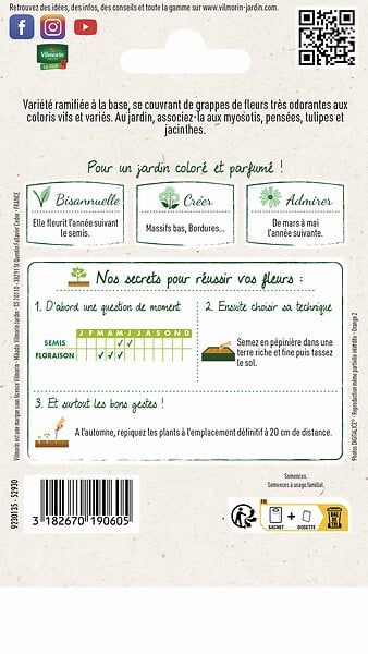 VILMORIN - Giroflée Ravenelle Simple Variée Vilmorin - large