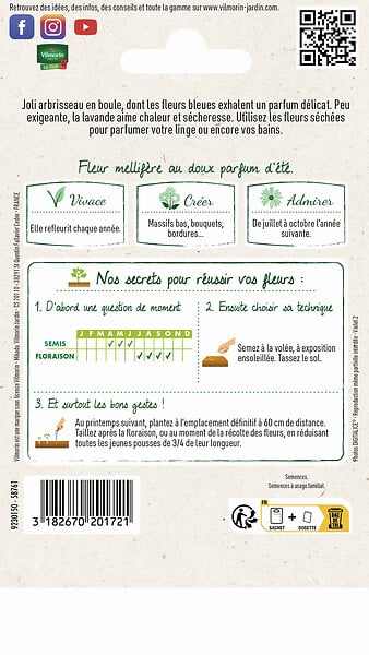 VILMORIN - Lavande Vraie Vilmorin - large