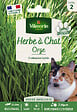 VILMORIN - Herbe à Chat Vilmorin - vignette