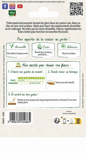 VILMORIN - Pervenche de Madagascar en Mélange Vilmorin - large