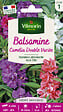 VILMORIN - Balsamine Camélia Double Variée Vilmorin - vignette
