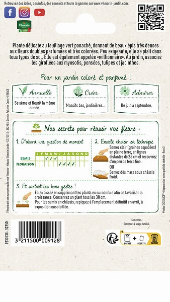 VILMORIN - Giroflée d'Eté Quarantaine Variée Vilmorin - large