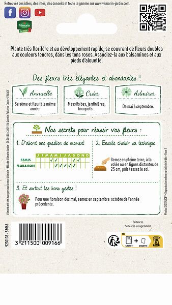 VILMORIN - Godétia Fleurs d'Azalée Varié Vilmorin - large
