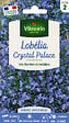 VILMORIN - Lobélia Crystal Palace Vilmorin - vignette