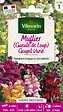 VILMORIN - Muflier Gueule de Loup Goupil Varié Vilmorin - vignette