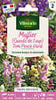 VILMORIN - Muflier Gueule de Loup Tom Pouce Varié Vilmorin - vignette
