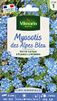 VILMORIN - Myosotis des Alpes Bleu Vilmorin - vignette