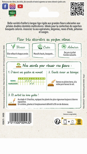 VILMORIN - Oeillet des Fleuristes Triomphe Varié Vilmorin - large