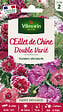 VILMORIN - Oeillet de Chine Double Vilmorin Varié Vilmorin - vignette