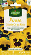 VILMORIN - Pensée Géante Or du Rhin Vilmorin - vignette