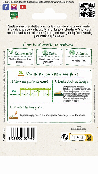 VILMORIN - Pensée Géante Or du Rhin Vilmorin - large