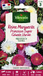 VILMORIN - ReineMarguerite Princesse Super Géante Variée Vilmorin - vignette