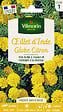 VILMORIN - Oeillet d'Inde Globe Citron Vilmorin - vignette