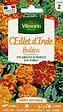 VILMORIN - Oeillet d'Inde Boléro Vilmorin - vignette