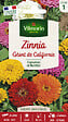VILMORIN - Zinnia Géant de Californie Vilmorin - vignette