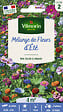 VILMORIN - Mélange de fleurs Jolies Fleurs d'Eté 4m2 Vilmorin - vignette