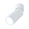 PAULMANN - EncastrE Turnal saillie orient D.60mm module LED Coin 6W 470lm - vignette