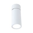 PAULMANN - EncastrE Turnal saillie orient D.60mm module LED Coin 6W 470lm - vignette