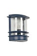 COREP - Applique fonte d'aluminium pétrole Little Garden CAGLIARI H24cm. - vignette