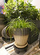 DEROMA - Soucoupe Riga 17,5cm - vignette