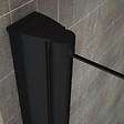 SANIVERRE - MONABLACK Porte de douche pliante noire H.195 x L. 96-100 cm verre transparent 6 mm - vignette