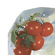 NORTENE - Housse de croissance tomate Tomatotube en film perforé jaune - avec liens - vignette