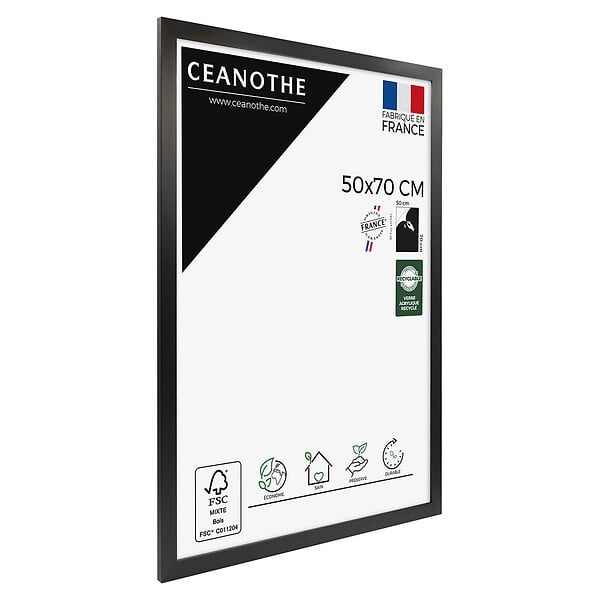CEANOTHE - Cadre Eternel - Noir - 50x70cm - large