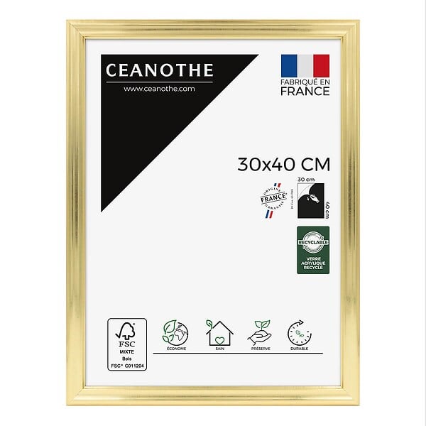 CEANOTHE - Cadre 30X40 Julia doré - large