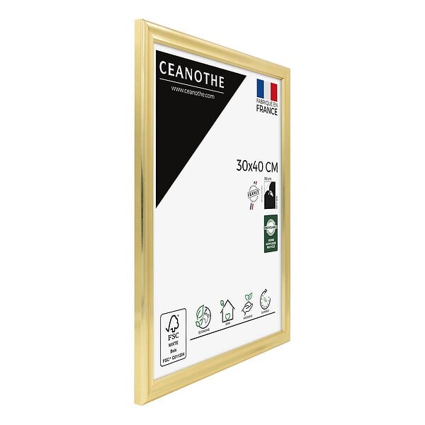 CEANOTHE - Cadre 30X40 Julia doré - large