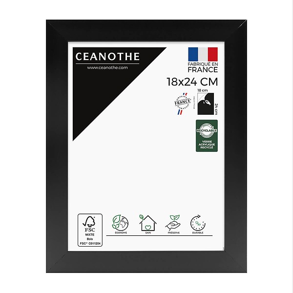 CEANOTHE - Cadre 18X24 Eternel noir - large