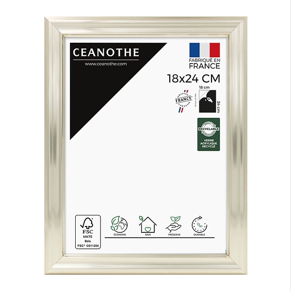 CEANOTHE - Cadre 18X24 Julia doré blanchie - large