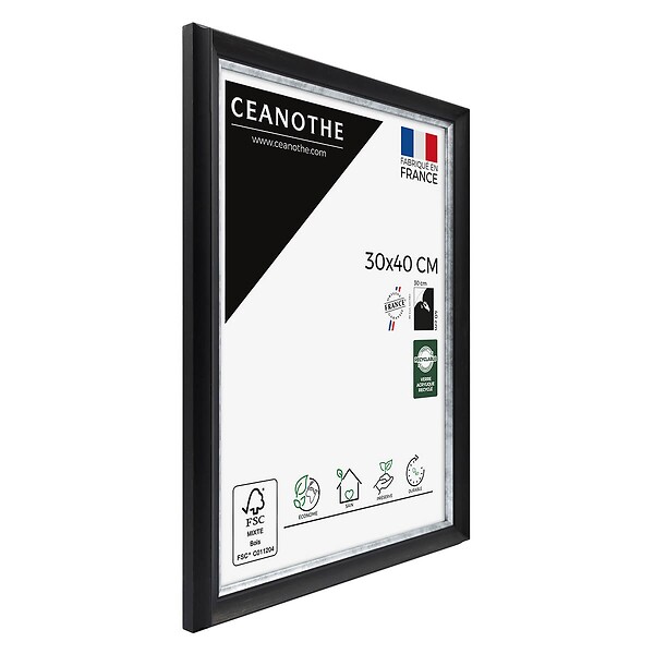 CEANOTHE - Cadre 30X40 Pandoré noir argent - large