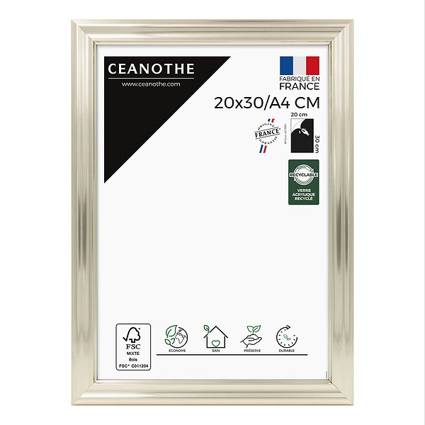 CEANOTHE - Cadre 20x30/A4 Julia doré blanchie - large