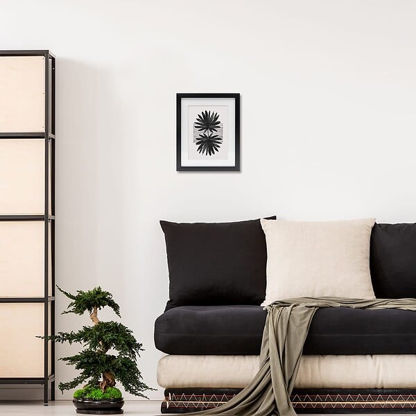 CEANOTHE - Cadre 24X30 Ouv 18X24 Milan noir - large