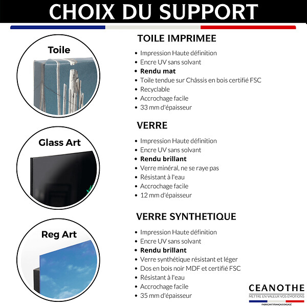 CEANOTHE - Tableau sur toile cri de loup 45x65 cm - large
