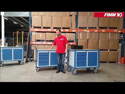 FIMM - Servante d'atelier équipée 2 blocs tiroirs 500 kg - FIMM - 880009548 - large