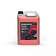 OUTIFRANCE - Shampooing Carrosserie Antistatique 5l - vignette